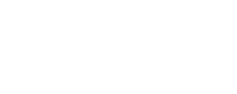 logo matis